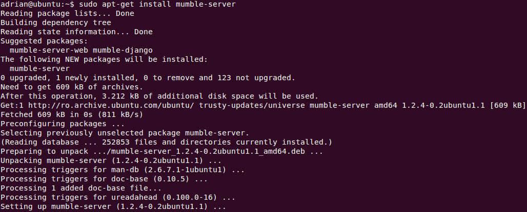mumble install