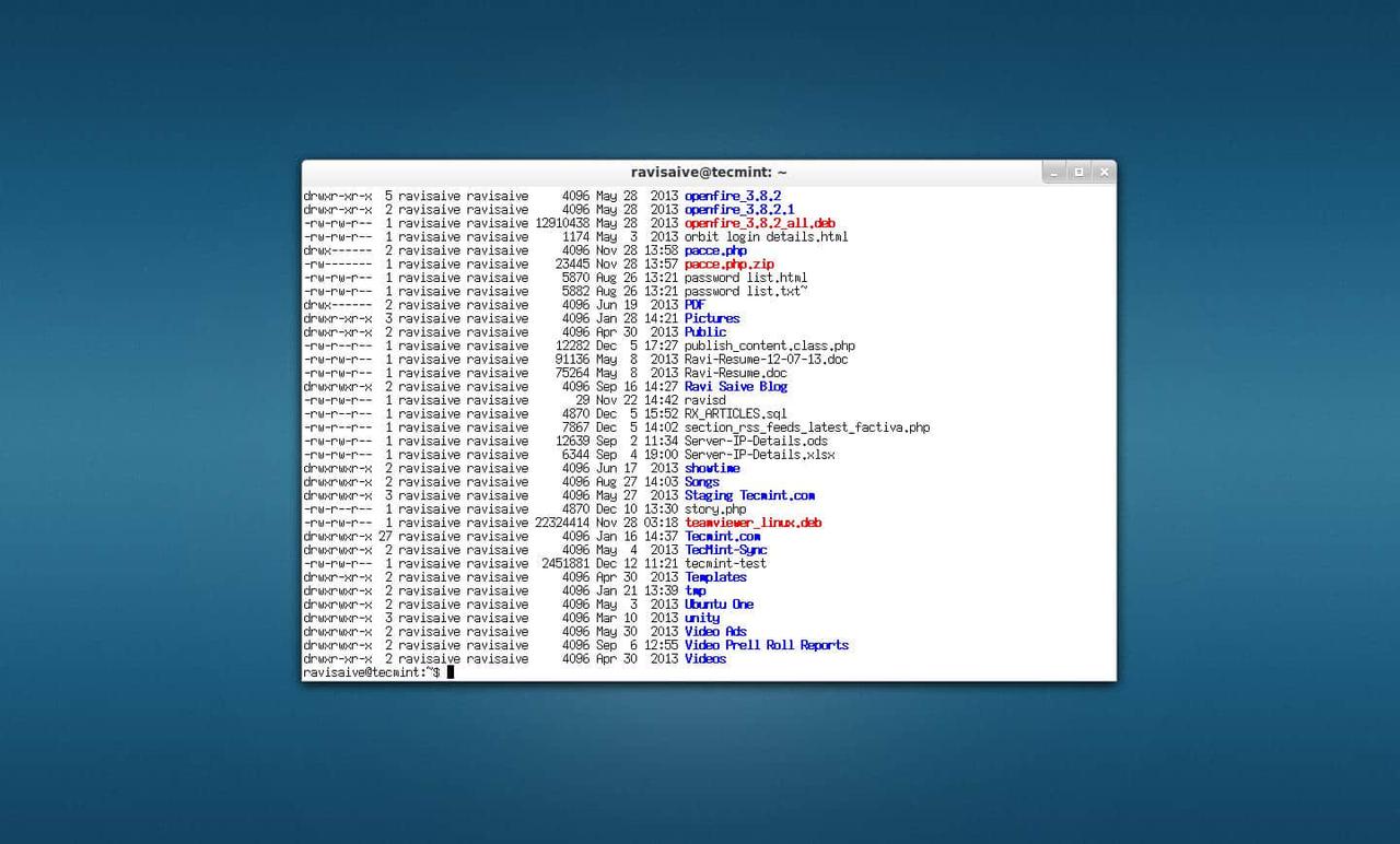 wterm Terminal