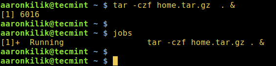 在后台开始一个 Linux 进程