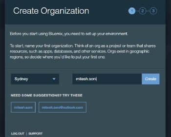 图3 在IBM Bluemix 中创建组织