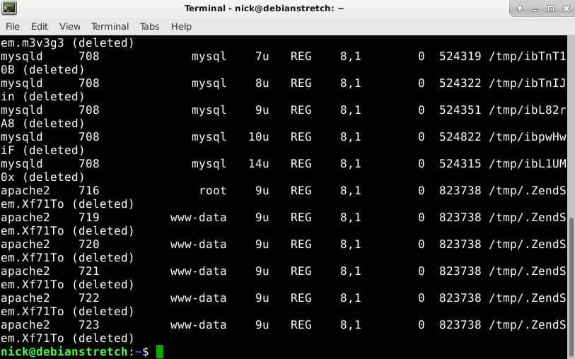 Check processes for deleted files Check processes for deleted files