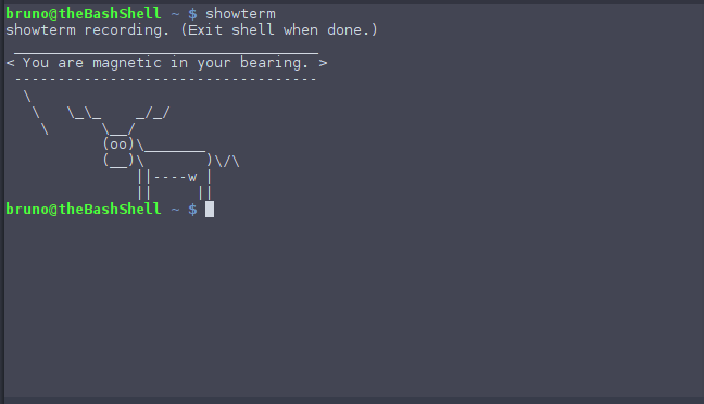 showterm terminal showterm terminal