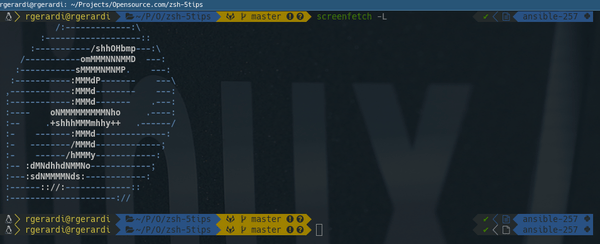 zsh Powerlevel9K theme zsh Powerlevel9K theme