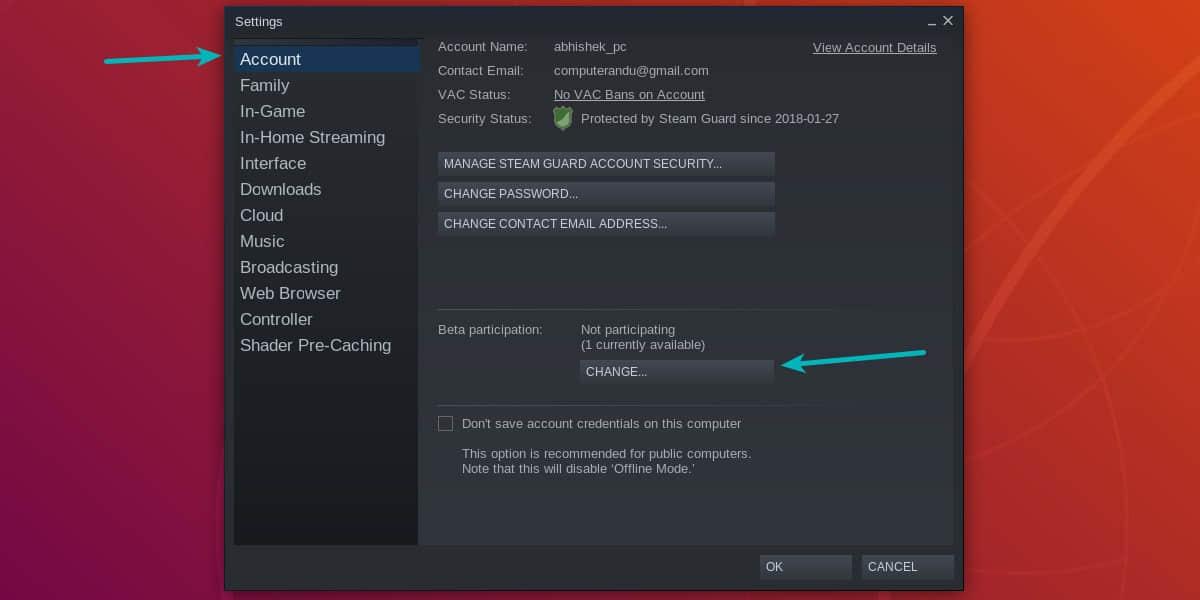 Enable beta feature in Steam Linux