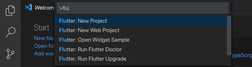 图 2：在 VSC 中开始一个新的 Flatter 项目