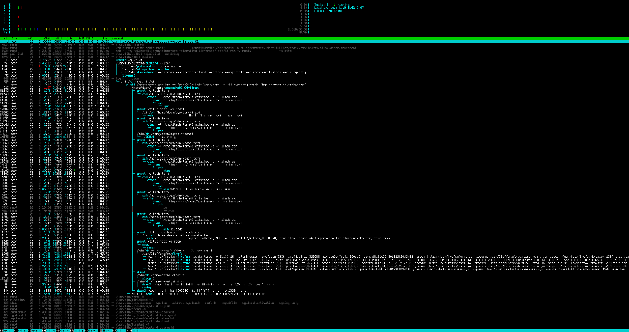 htop overview