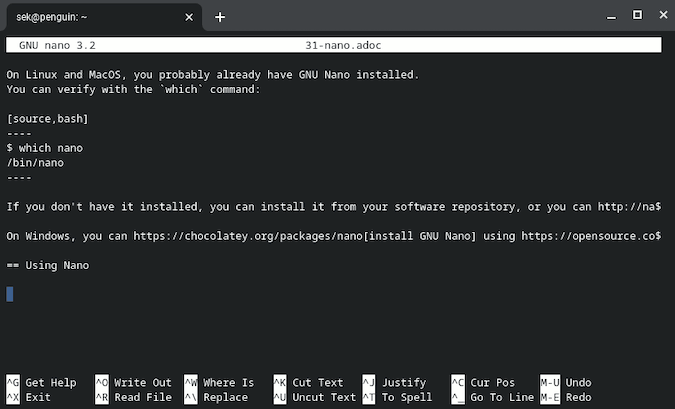 Black nano terminal with white text Black nano terminal with white text