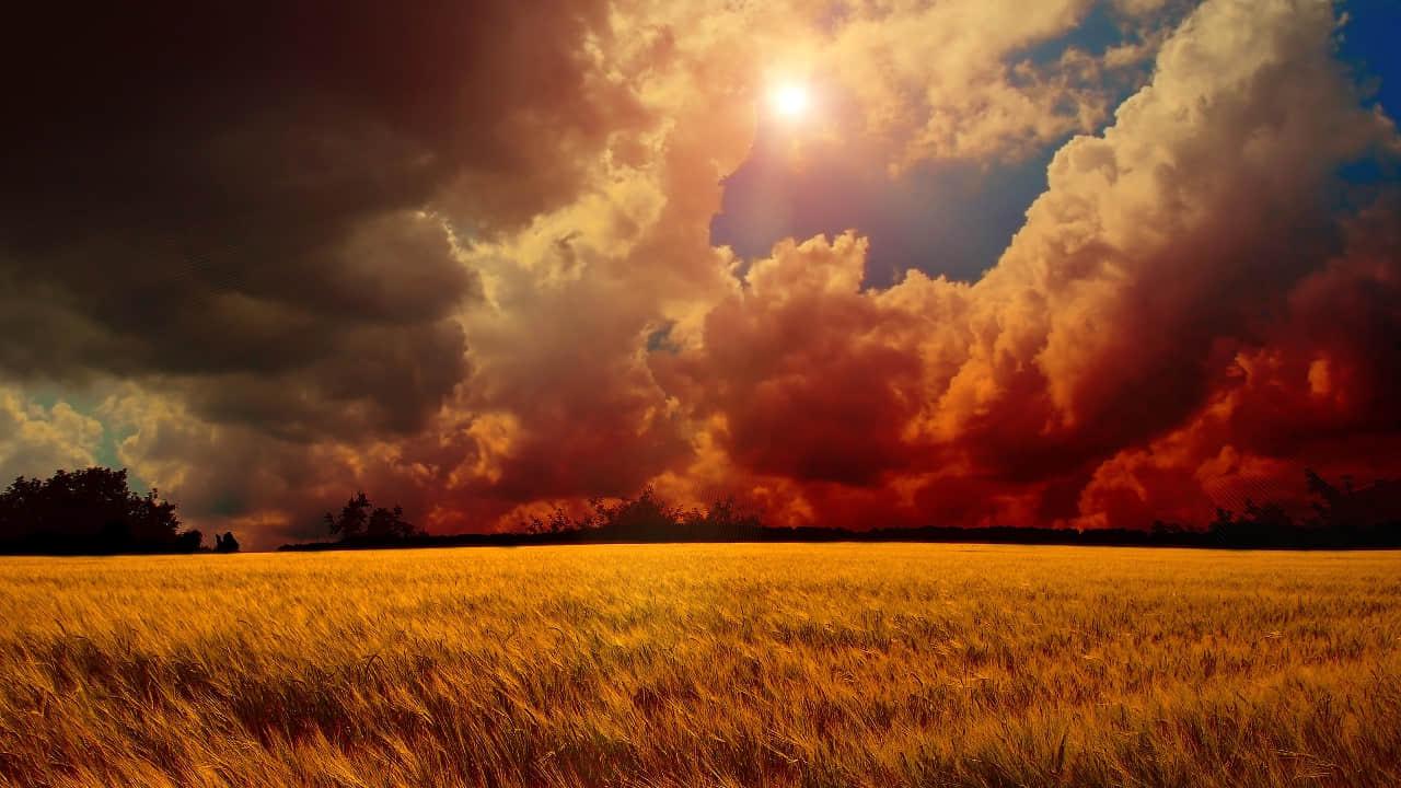 Sky with clouds and grass