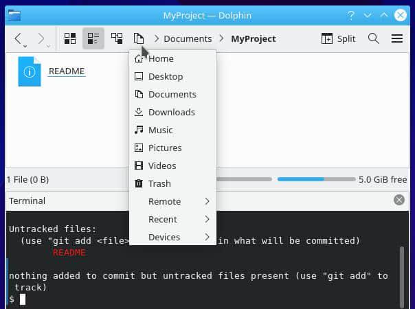 Dolphin file manager Dolphin 文件管理器