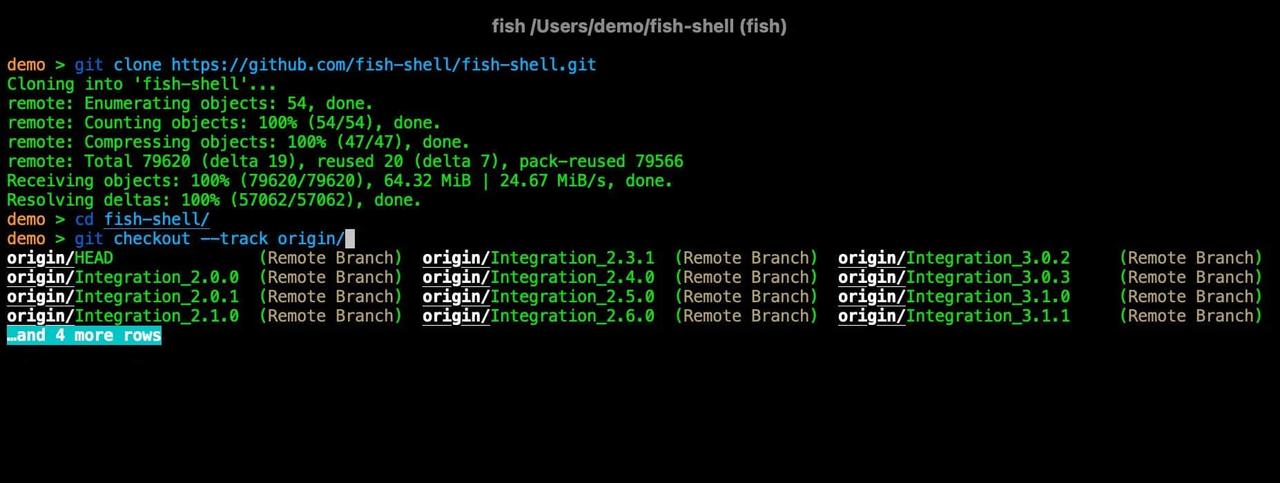 Fish Shell